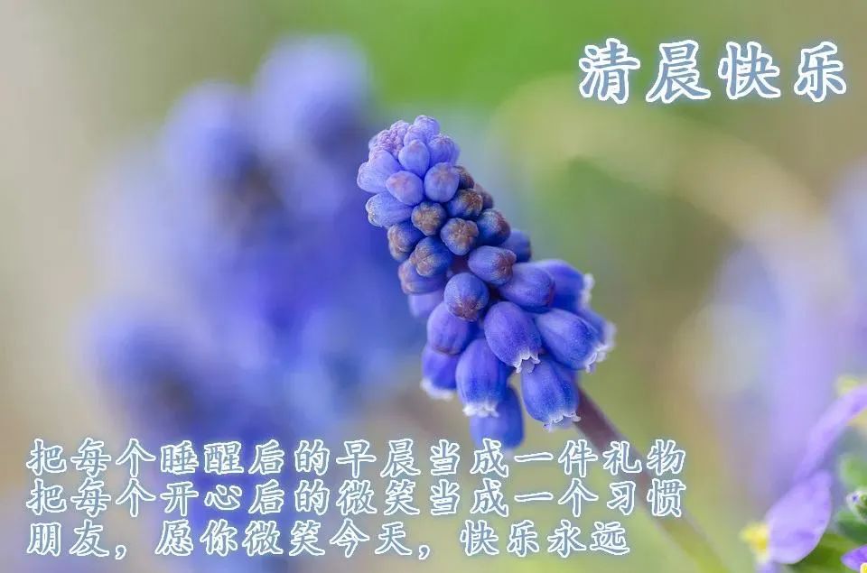 朋友圈鸡汤心情_心灵鸡汤 朋友圈_朋友圈鸡汤文案