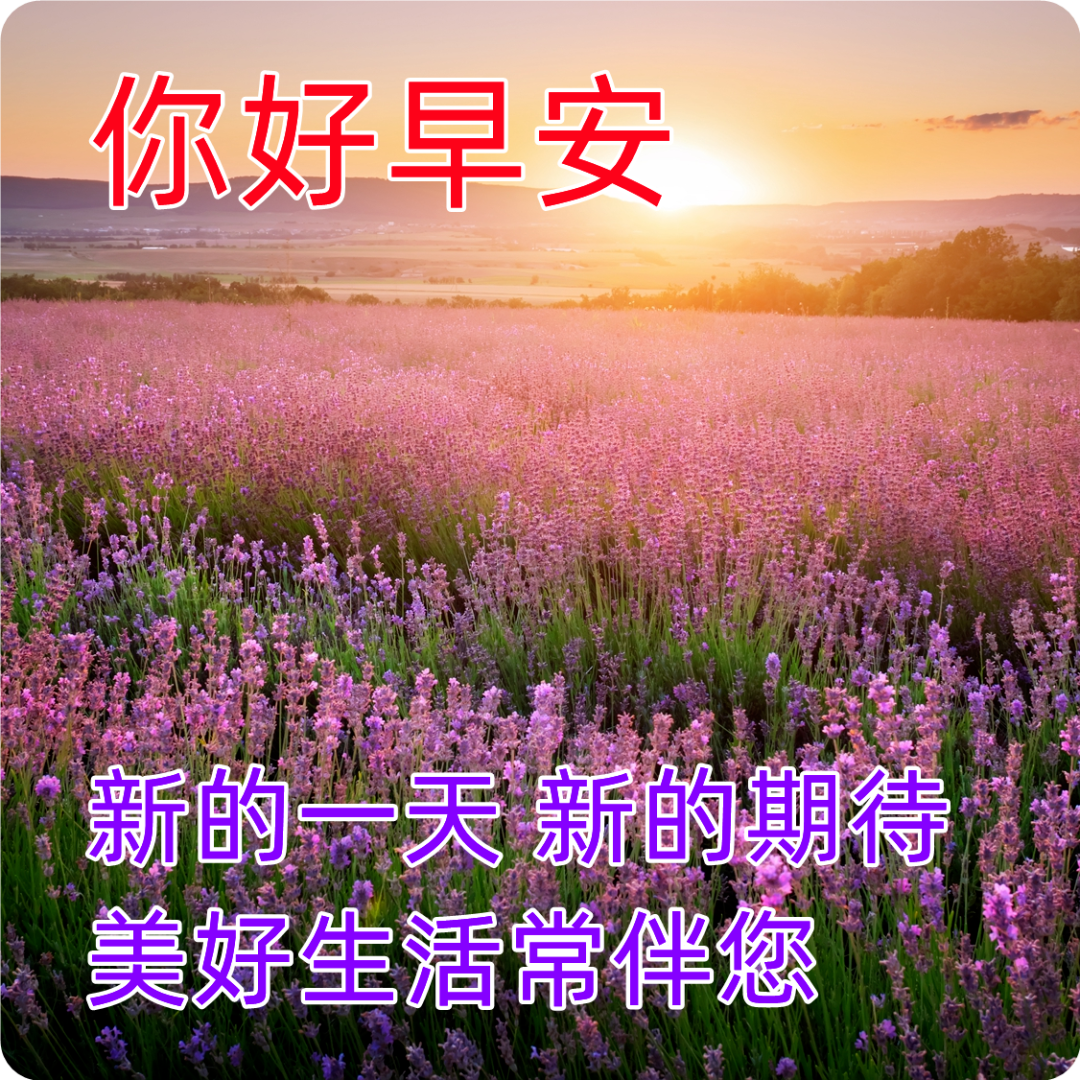 职场励志鸡汤语录_早安心灵鸡汤励志职场_职场早安鸡汤励志短语