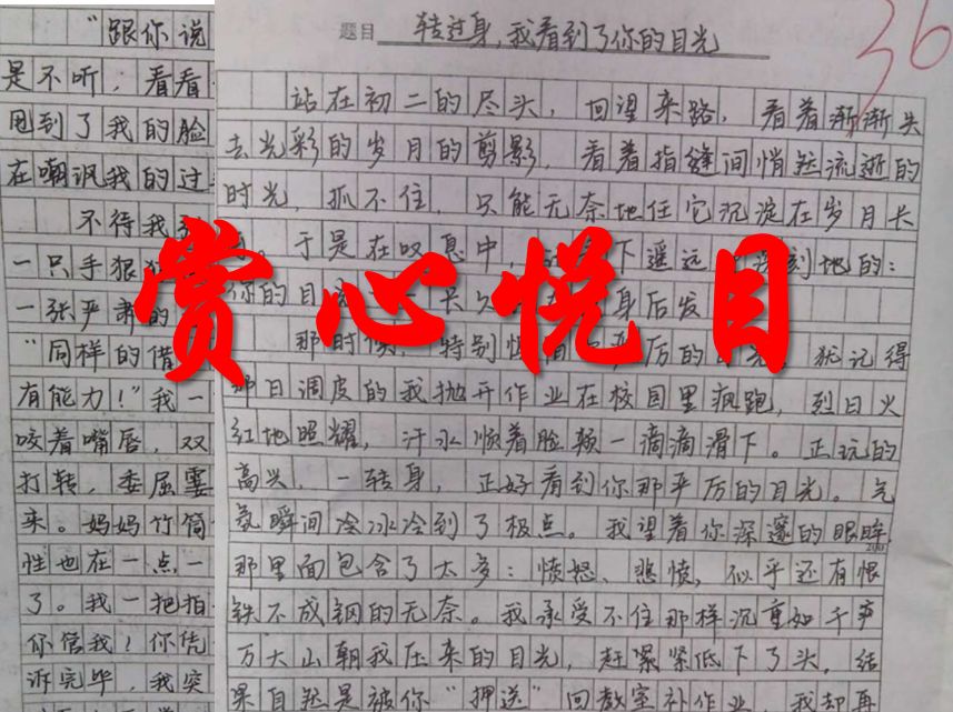 读心灵鸡汤有感600_心灵鸡汤的读后感500字_心灵鸡汤读后感400字