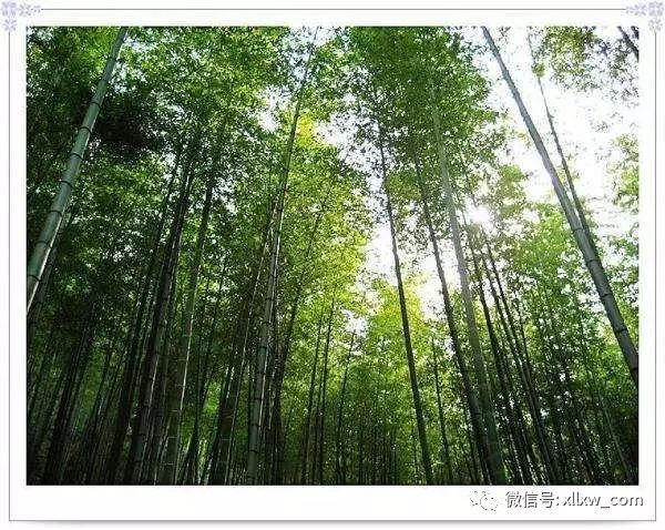 芜湖大浦海啸馆_安徽芜湖大浦乡村世界海啸馆_芜湖海啸馆门票多少钱