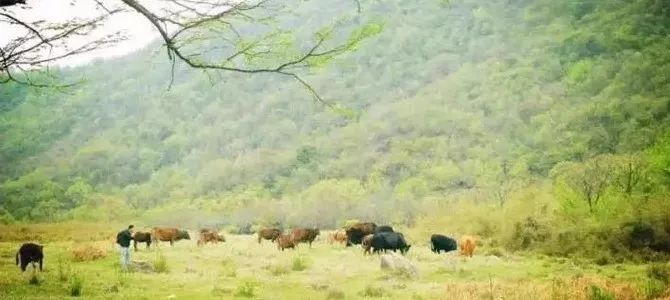 悠游三国_悠闲三国手游_悠闲三国官网