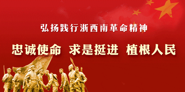 松阳县人民检察院招聘驾驶员，你符合条件吗？
