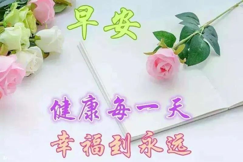 每日心灵鸡汤图片_每日鸡汤文案_每日鸡汤语录