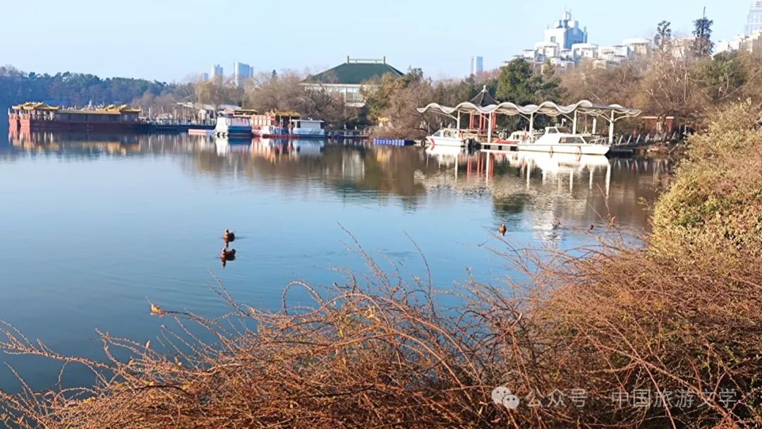 玩转英雄三国_玩转三国顶点_修真者玩转网游顶点