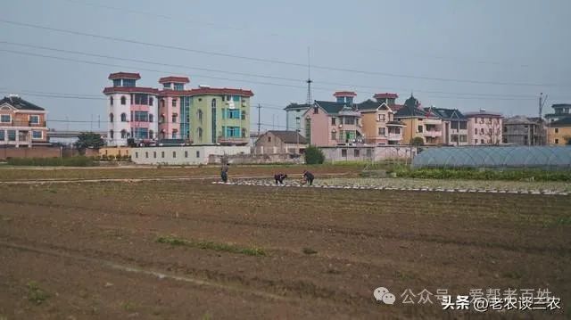 21年土地政策_2024年的土地政策_2027土地政策