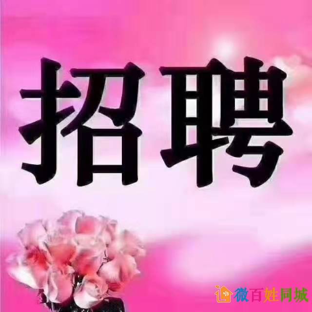 扫码查看招聘原文↓