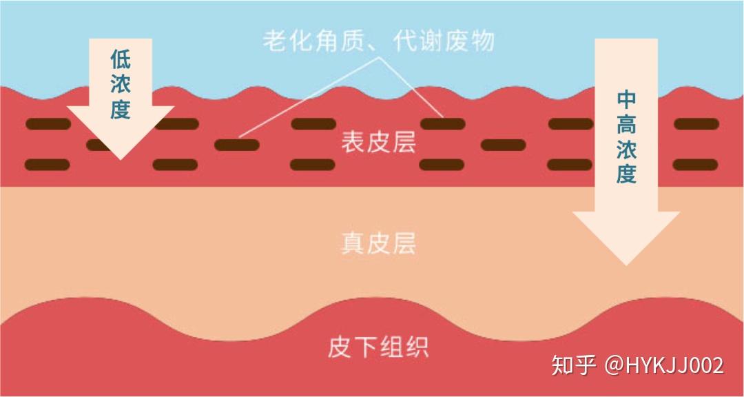 加固钢结构设计UERTR设计_钢结构加固设计_加固钢结构设计规范最新