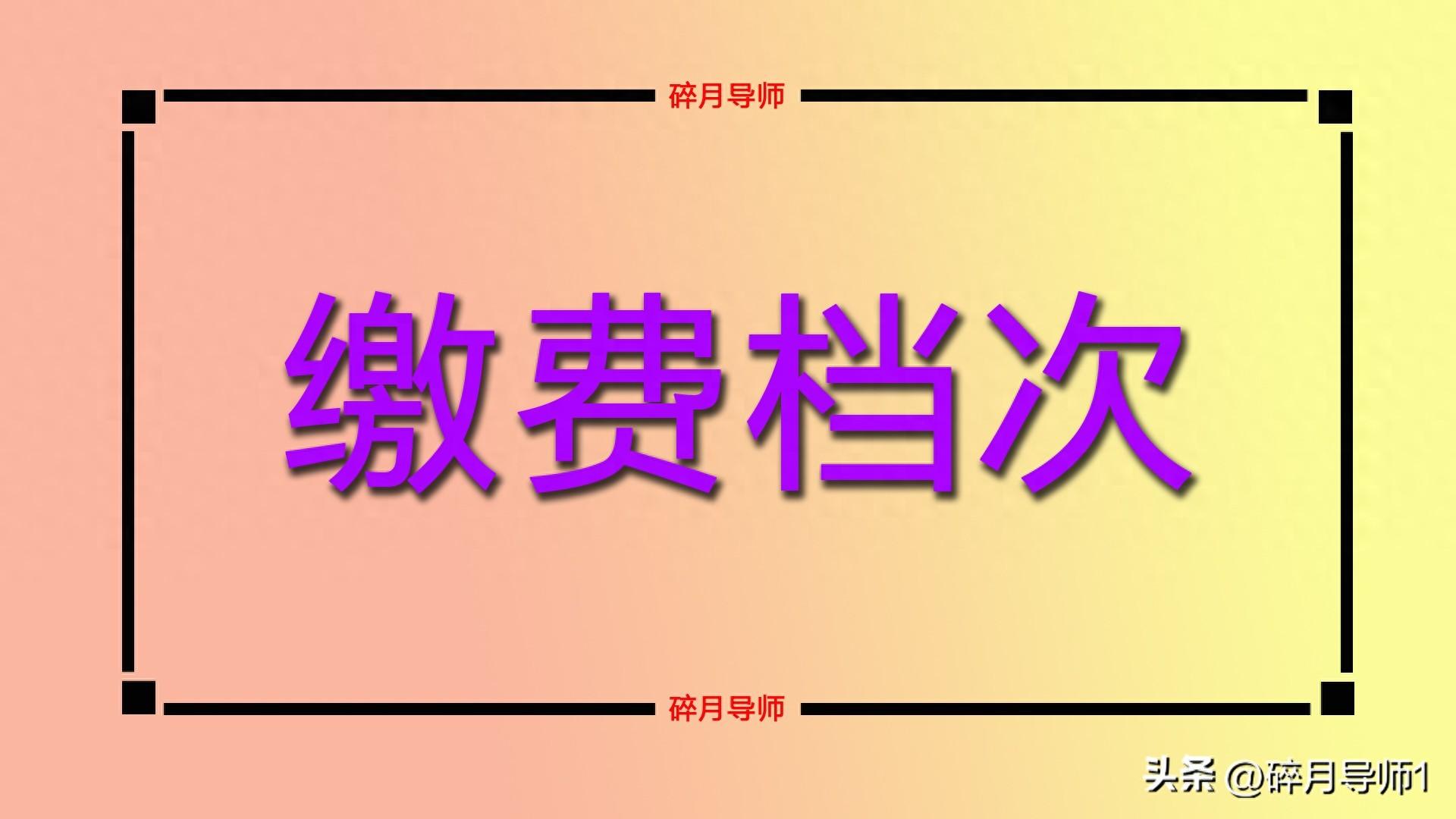 灵活就业养老交费档次_灵活就业养老金比例可以增加吗_