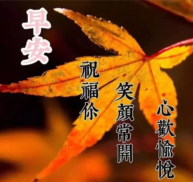 心灵鸡汤概念_管理类心灵鸡汤_管理者心灵鸡汤