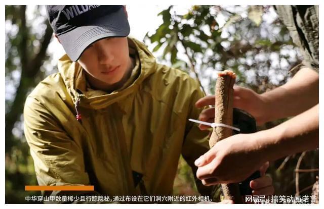 岗位管理员职责_品管岗位职责_岗位职责管理的意义和作用