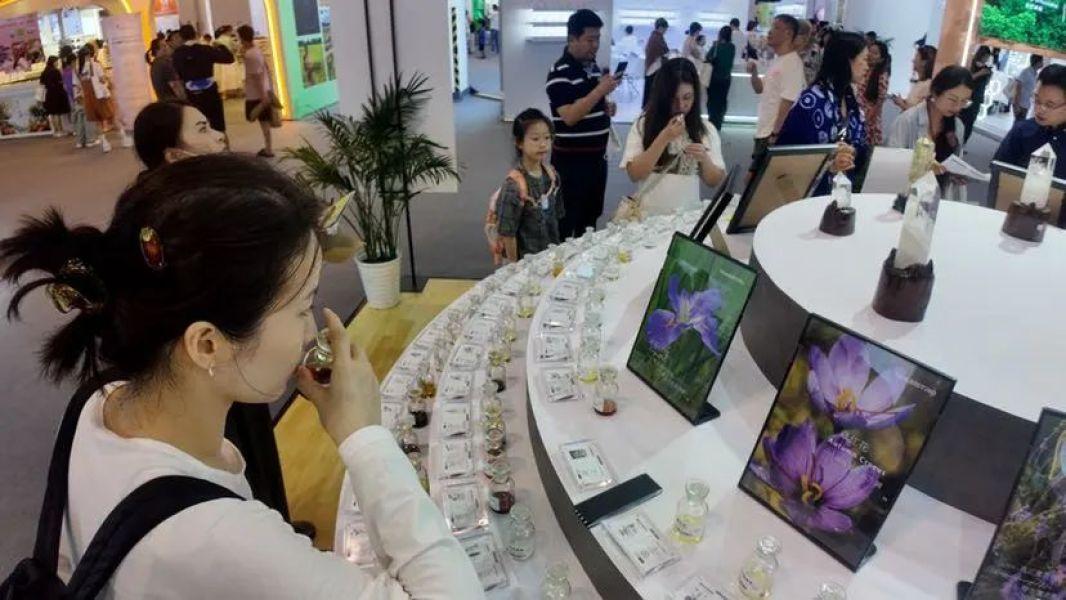 展会网站_展会搭建材料_展会