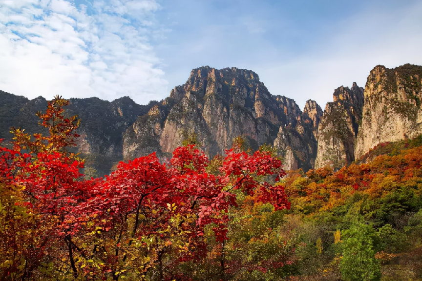 旅游业骗局_旅游上当受骗_