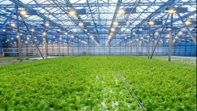 招工平台有哪些_招工_招工最新招聘信息58同城