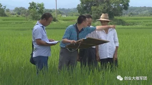 仿瓷砖背景墙效果图_仿玉瓷砖装修效果图片_仿瓷砖墙贴效果图