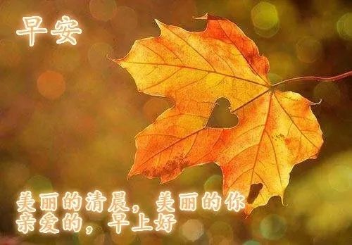 暖心鸡汤短句早安_鸡汤早安_早安心灵鸡汤经典语录