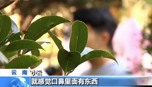 东莞市钢结构有限公司_东莞市钢结构加工厂有多少_东莞钢结构工程公司