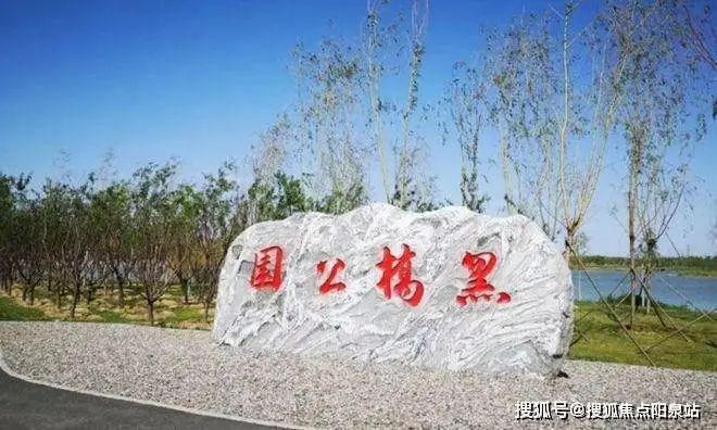 家政望京服务公司电话_望京地区家政公司_望京 家政服务
