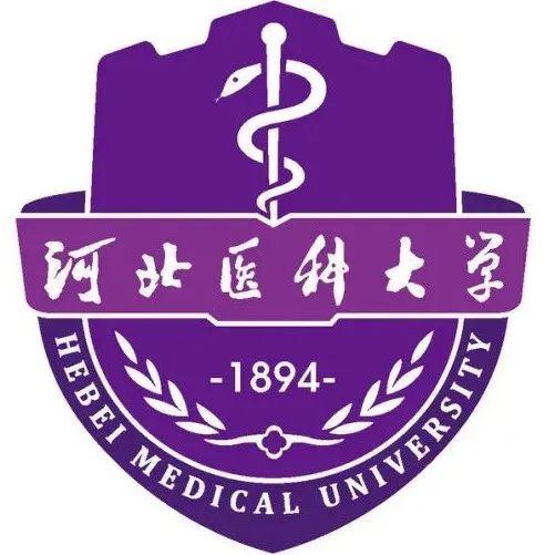 孟津招聘招聘司机招聘_招聘网boss直聘_招聘