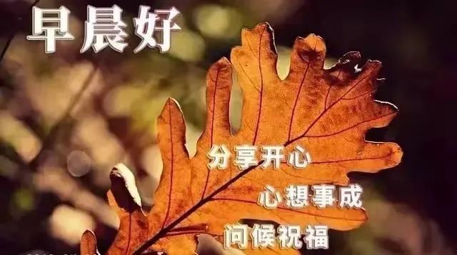 心灵鸡汤图片带字_鸡汤心灵素材图片_心灵鸡汤的图片带字