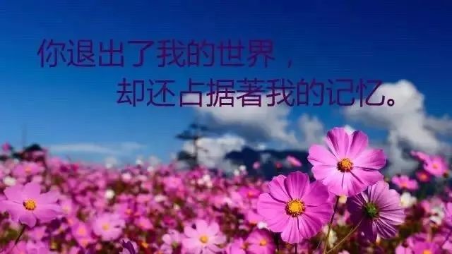 鸡汤心灵简短_心灵鸡汤图片带字_鸡汤心灵配图