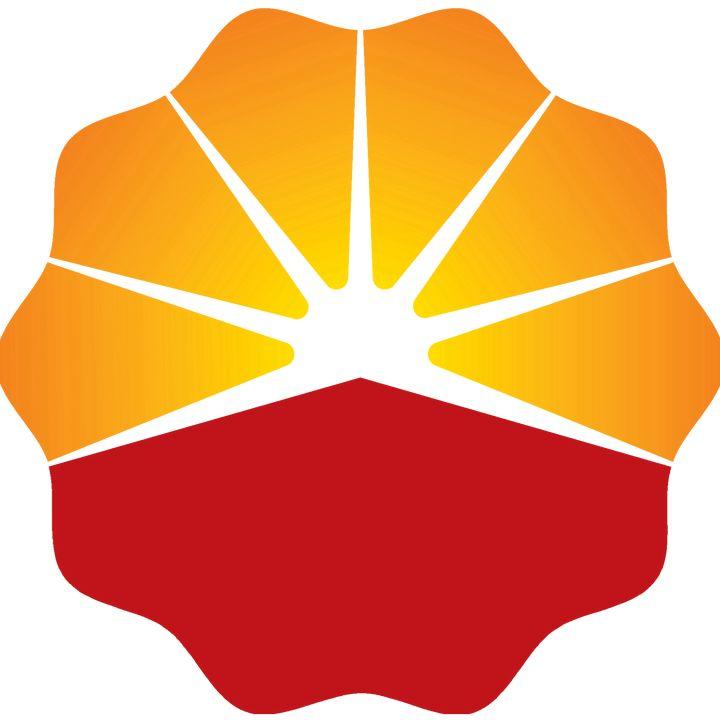 【招聘】中国石油石油化工研究院2024年社会化人才招聘启事