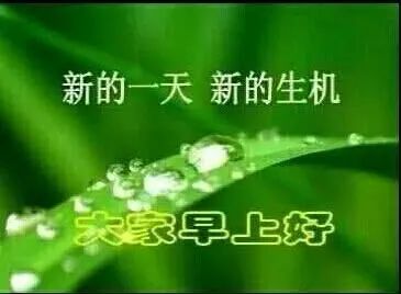 鸡汤心灵素材图片_鸡汤心灵语录手写图片_心灵鸡汤图片带字