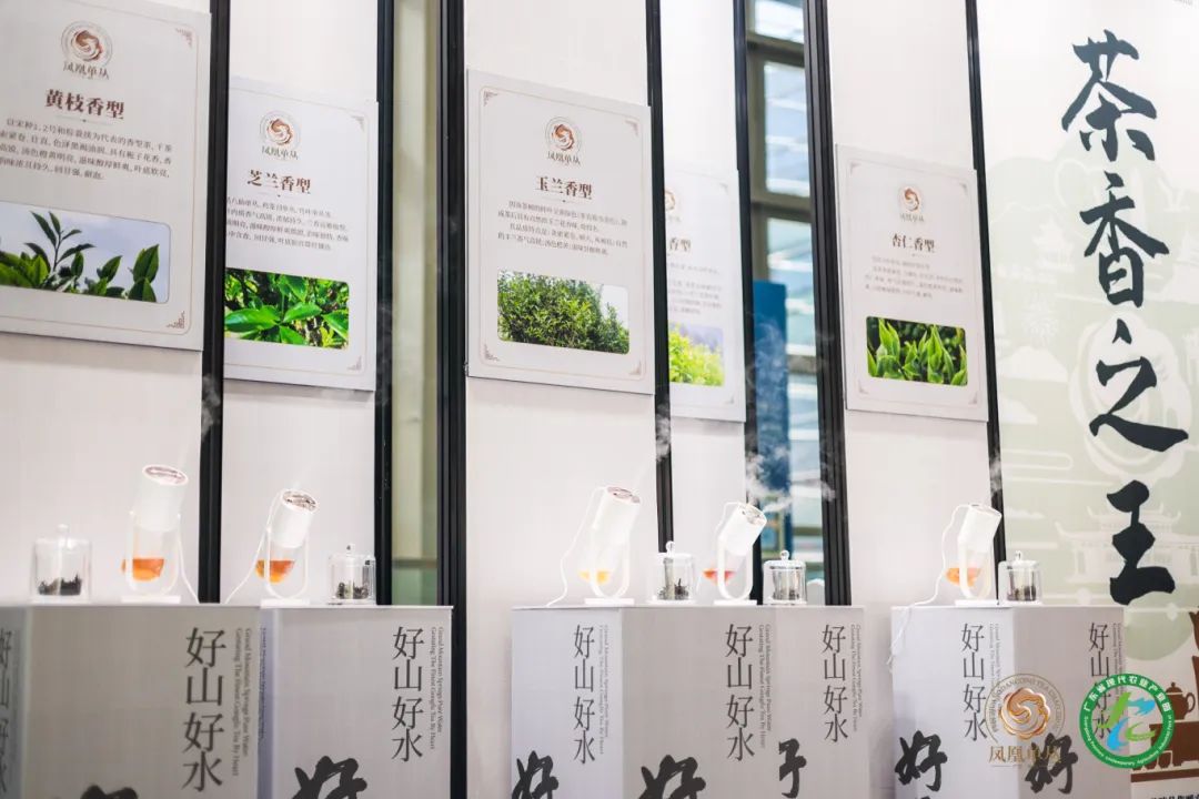 展会网站_展会搭建材料_展会