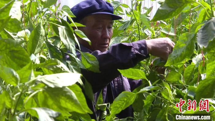 甘肃聘考信息网 | 2024年兰州资源环境职业技术大学招聘事业编制工作人员公告