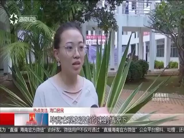 p图软件无痕改字_图图软件_抠图软件免费版