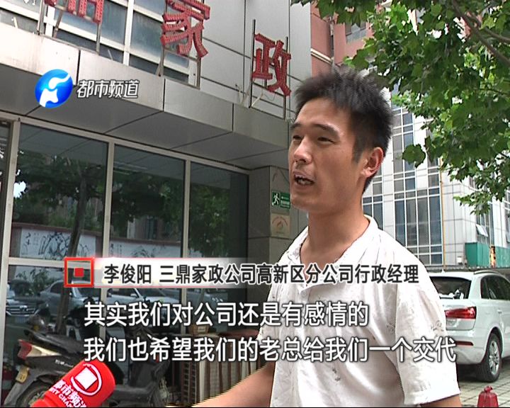 三鼎家政2020年_三鼎家政服务公司_三鼎家政公司