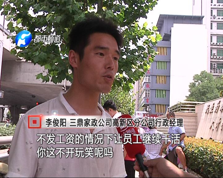 三鼎家政2020年_三鼎家政服务公司_三鼎家政公司