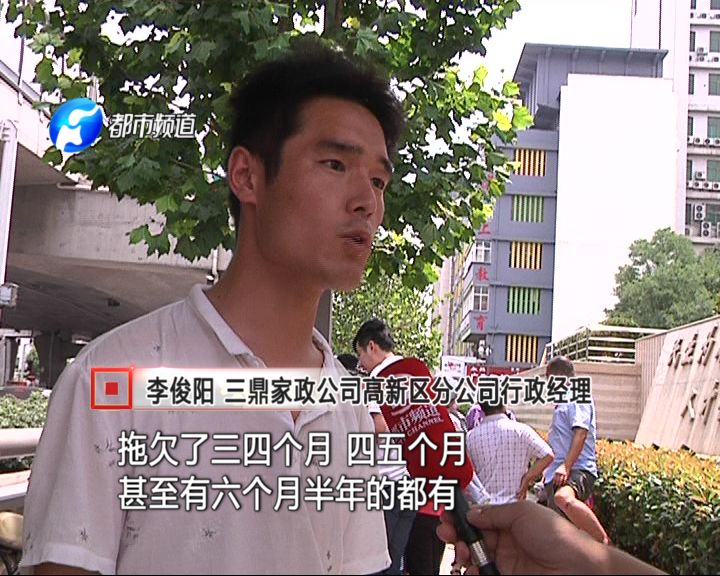 三鼎家政2020年_三鼎家政服务公司_三鼎家政公司