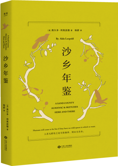 心灵鸡汤作家_因为心灵鸡汤而成功的人_心灵鸡汤：作家是怎样炼成的