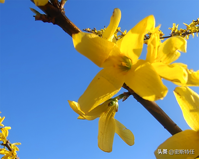 职场沟通网课期末答案_职场沟通教程考试答案_职场沟通见面课测验答案66