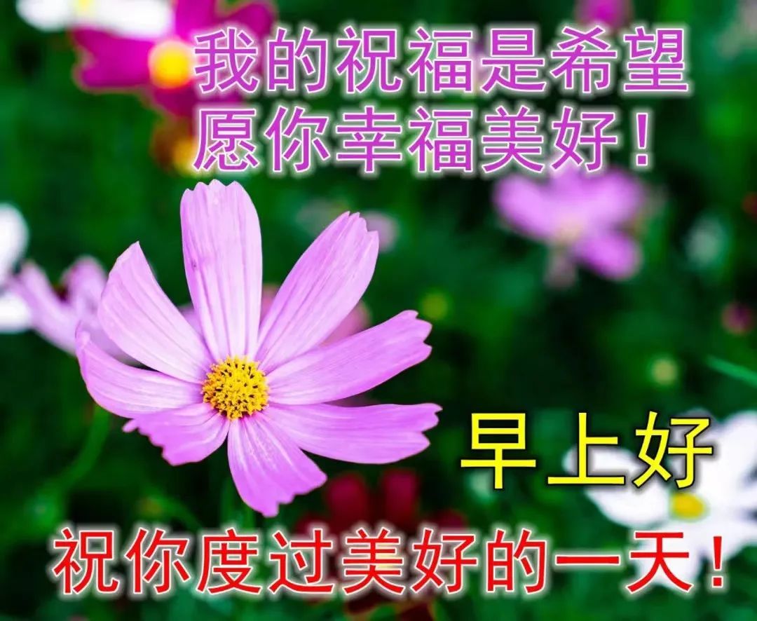 年龄心灵鸡汤_因为年轻的心灵鸡汤_心灵鸡汤青春励志语录