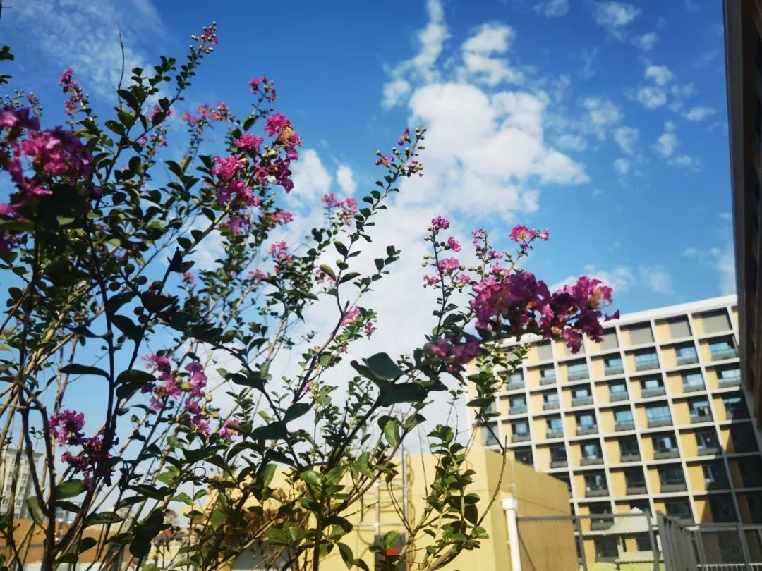 中学教师简历怎么写_在职教师简历范文_在职中学教师简历模板