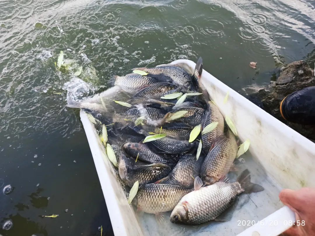 心灵鸡汤经典台词_心灵鸡汤者_卡耐基心灵鸡汤