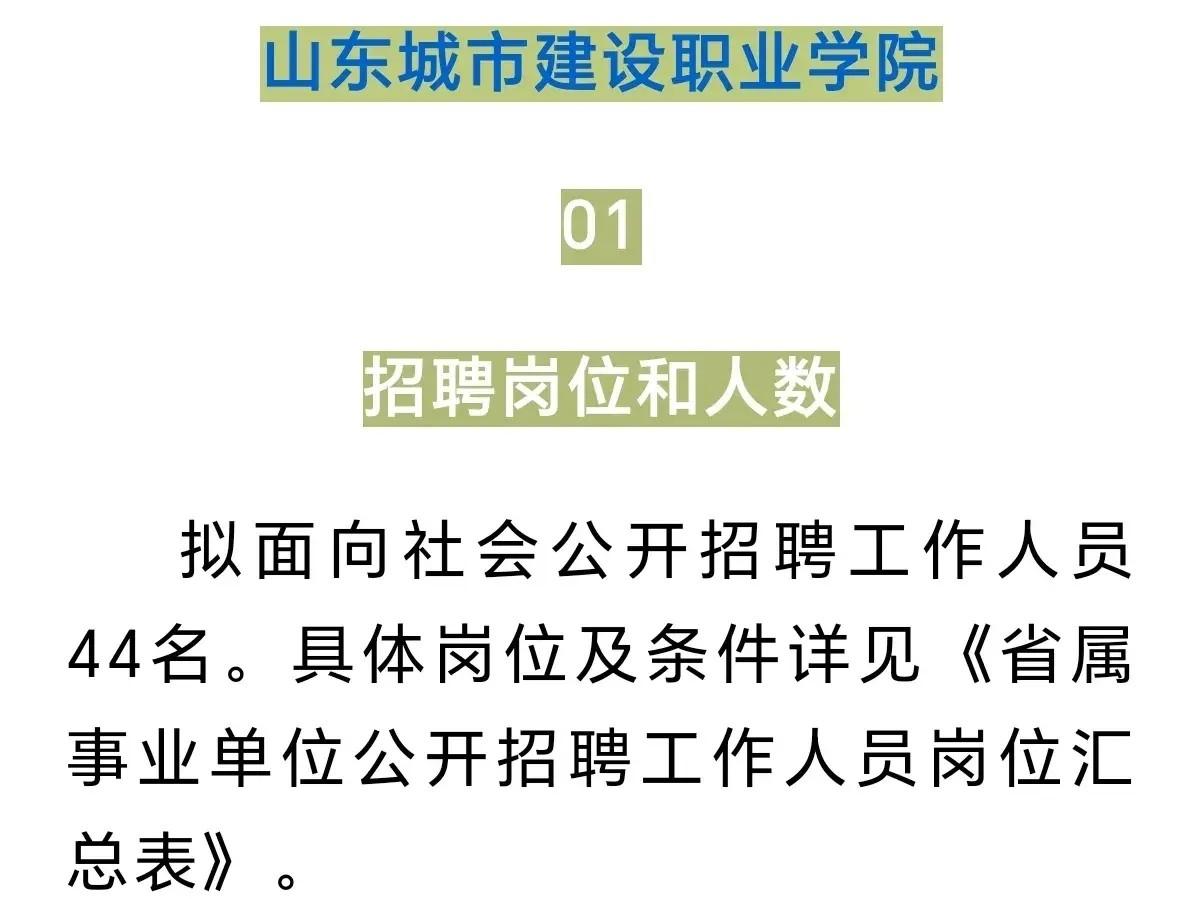 招聘信息发布文案_招聘信息_招聘信息最新招聘2024