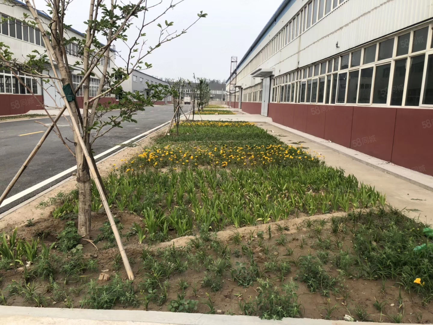 郑州钢结构厂房回收_郑州市钢结构厂房出租_郑州钢结构厂家电话