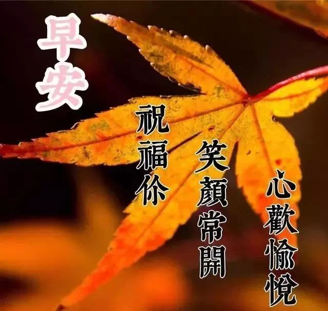 唯美鸡汤文字图片大全_唯美鸡汤心灵图片素材_心灵鸡汤唯美图片