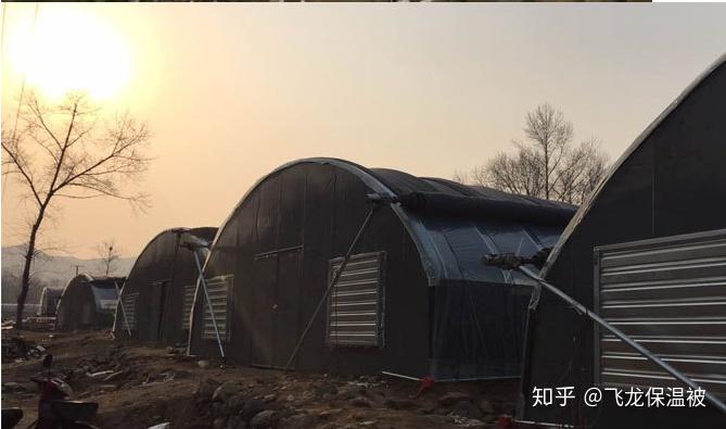 河南温室钢结构大棚_钢架温室大棚厂家_钢结构温室大棚价格