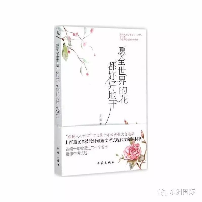 成长心灵鸡汤：启迪心灵的100个哲理故事_触动人心的心灵鸡汤故事_心灵鸡汤哲理小故事