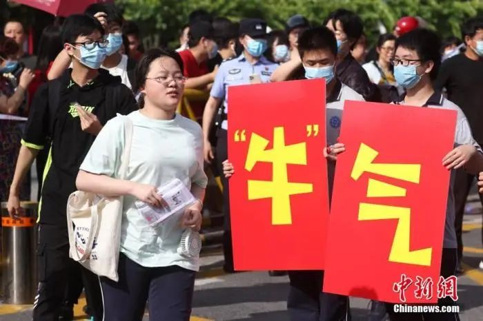 高考志愿填报指南软件_志愿指南填报高考软件下载_志愿指南填报高考软件哪个好