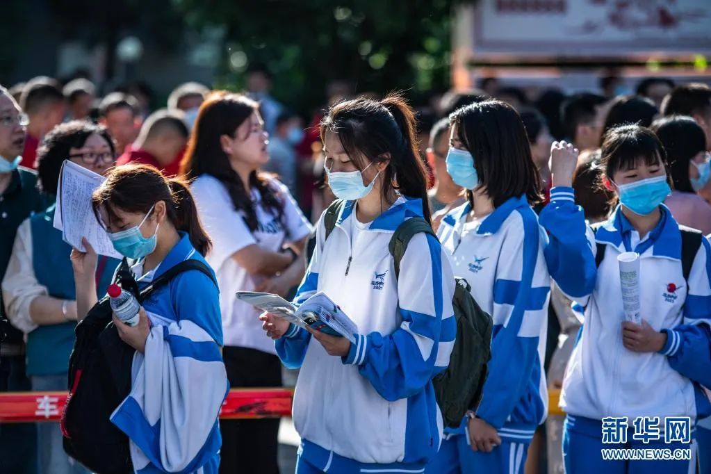 志愿指南填报高考软件哪个好_志愿指南填报高考软件下载_高考志愿填报指南软件
