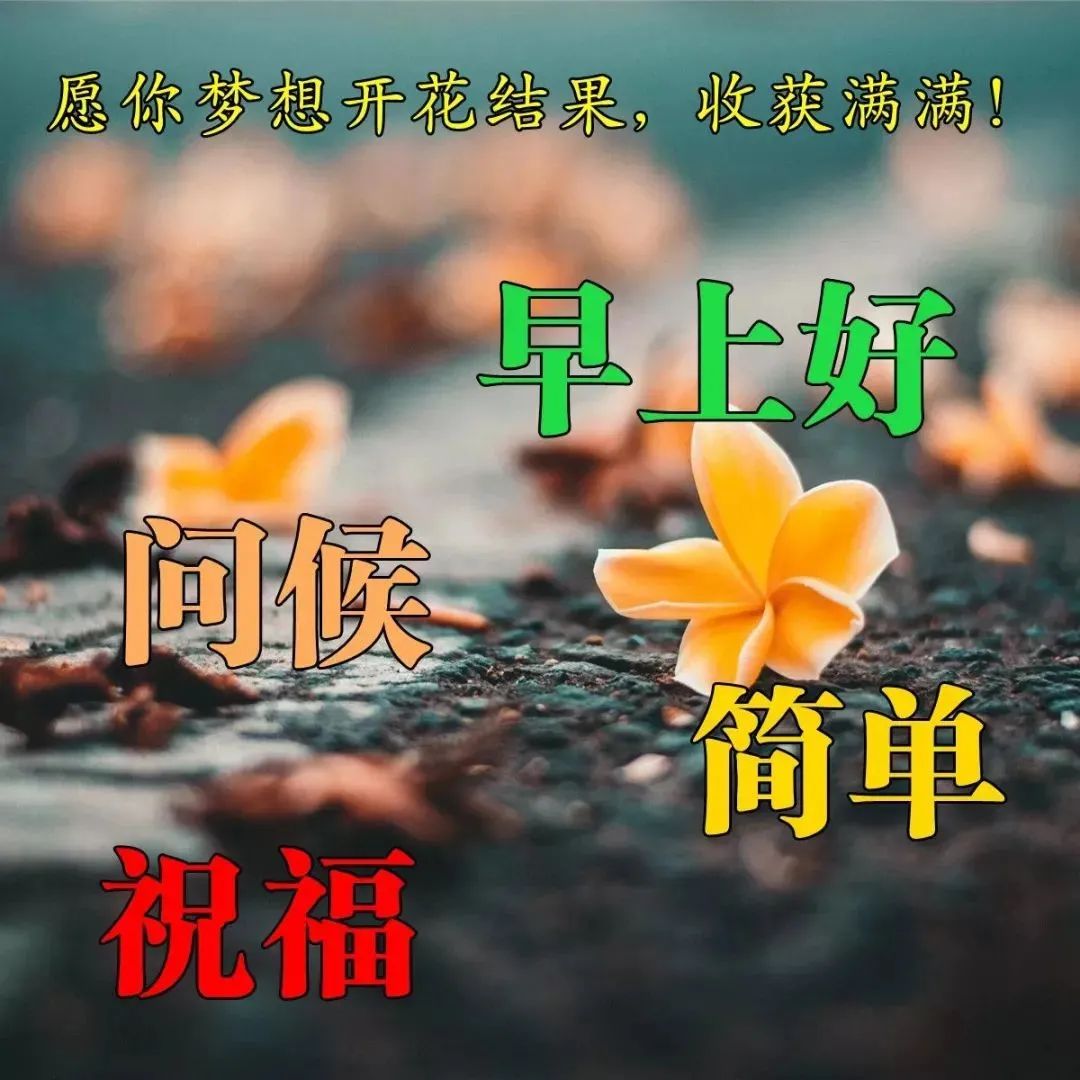 心灵鸡汤朋友圈_朋友圈心灵鸡汤说说_心灵鸡汤的朋友圈