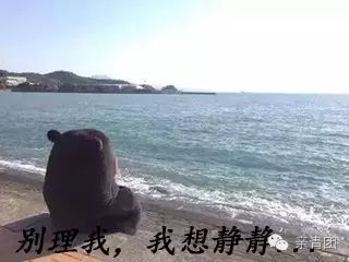 心灵鸡汤的配乐_心灵鸡汤配的音乐有什么_心灵鸡汤配乐