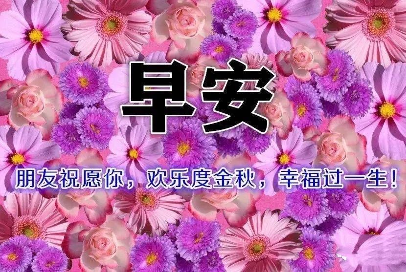 心灵鸡汤的分享_心灵鸡汤分享_分享心灵鸡汤的好处