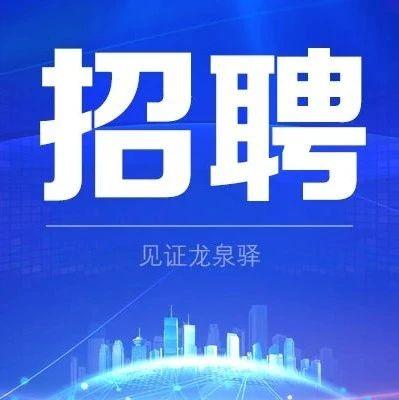 公开招聘！4名