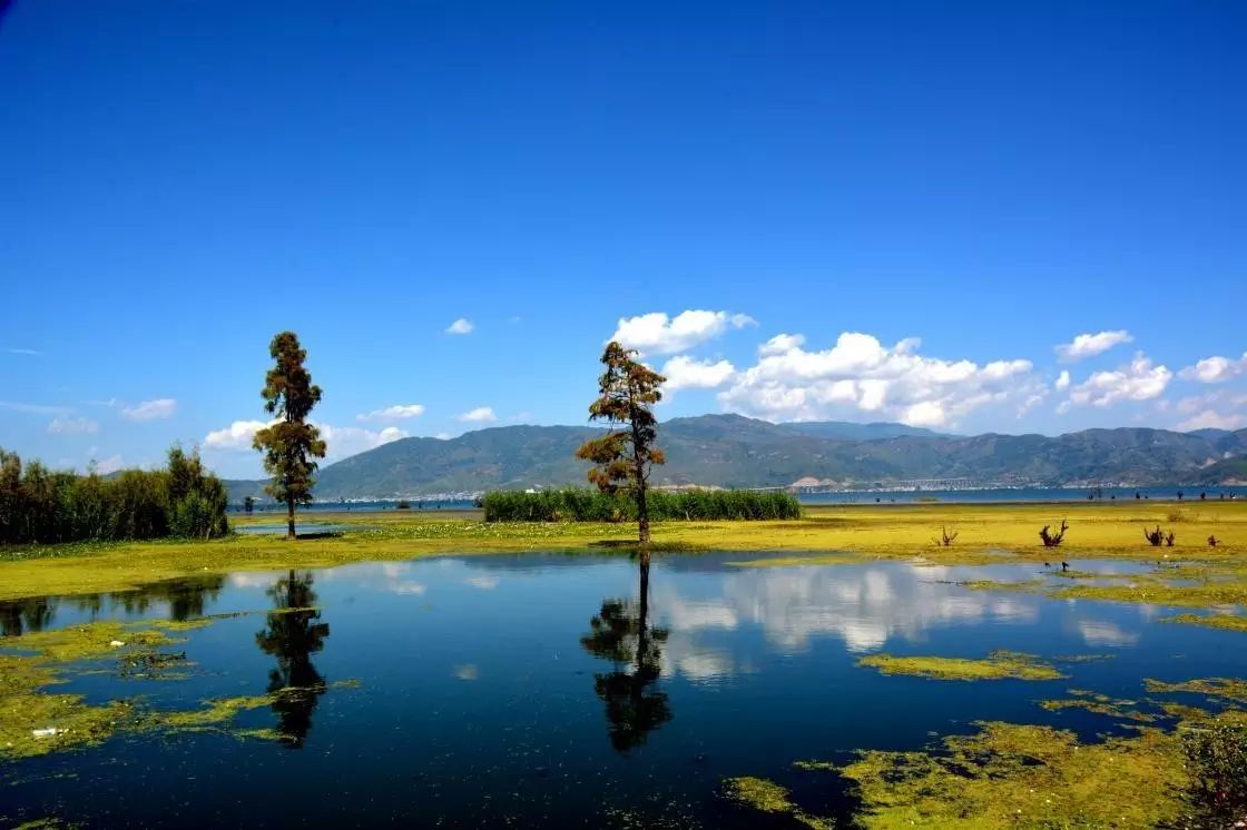 大理丽江旅游防骗_云南丽江旅游被坑经历_大理丽江旅游防骗中心电话