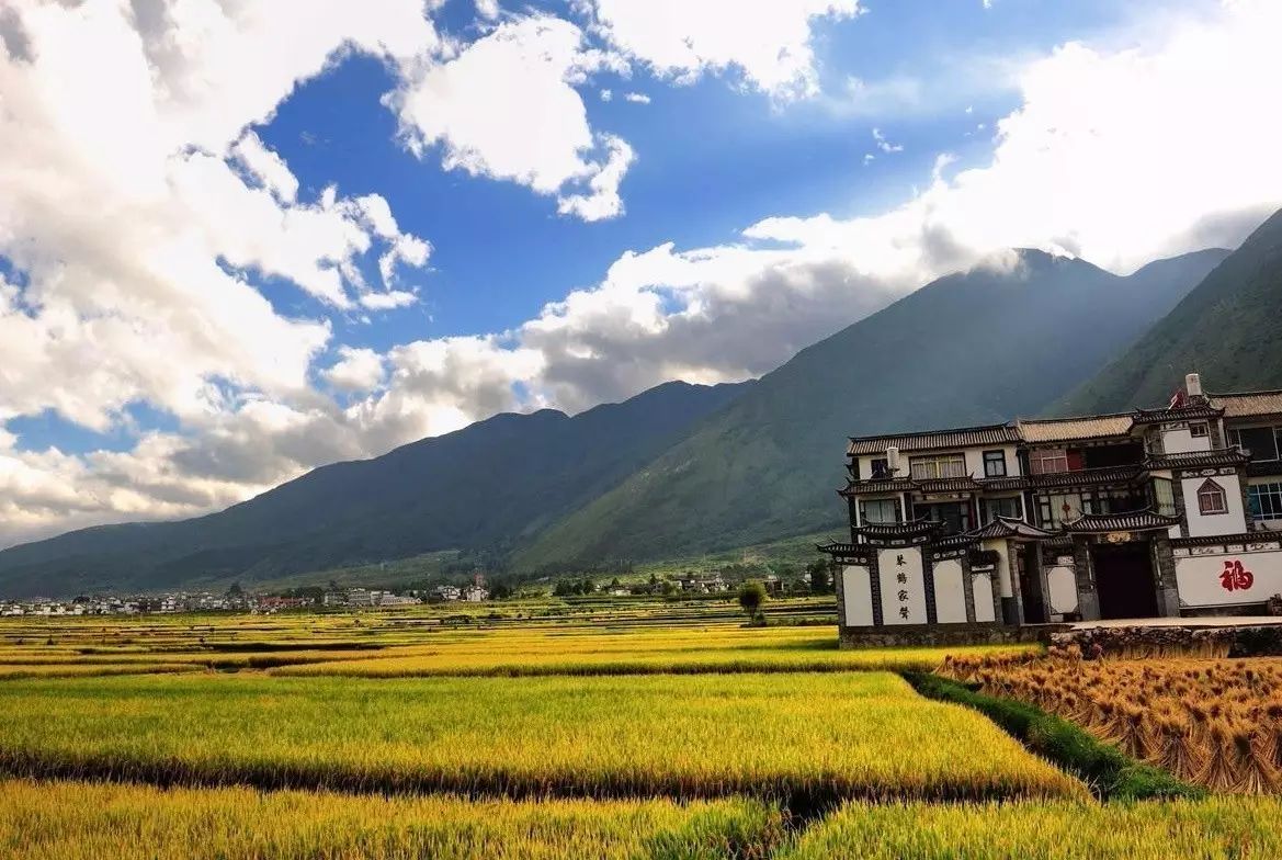 大理丽江旅游防骗中心电话_大理丽江旅游防骗_云南丽江旅游被坑经历